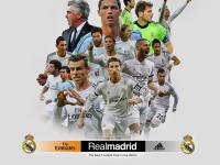 出色防守引爆全场！，德约科维奇意外战胜MAD引发球迷热议